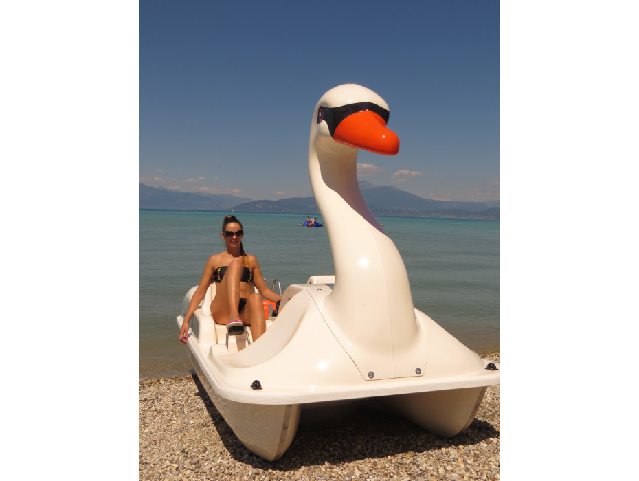 Pédalo cygne