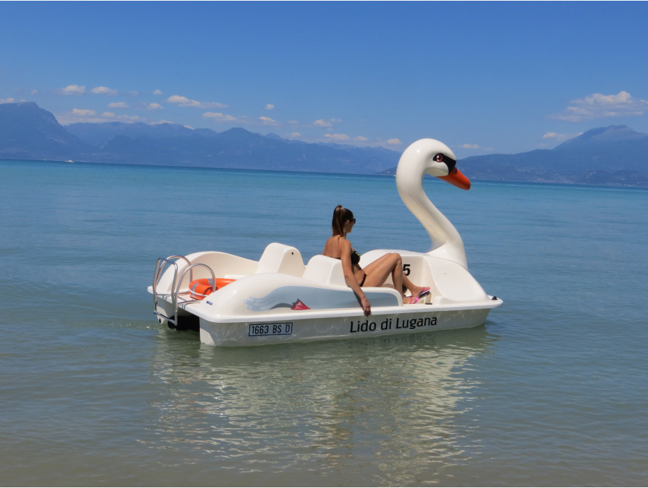 Pédalo cygne