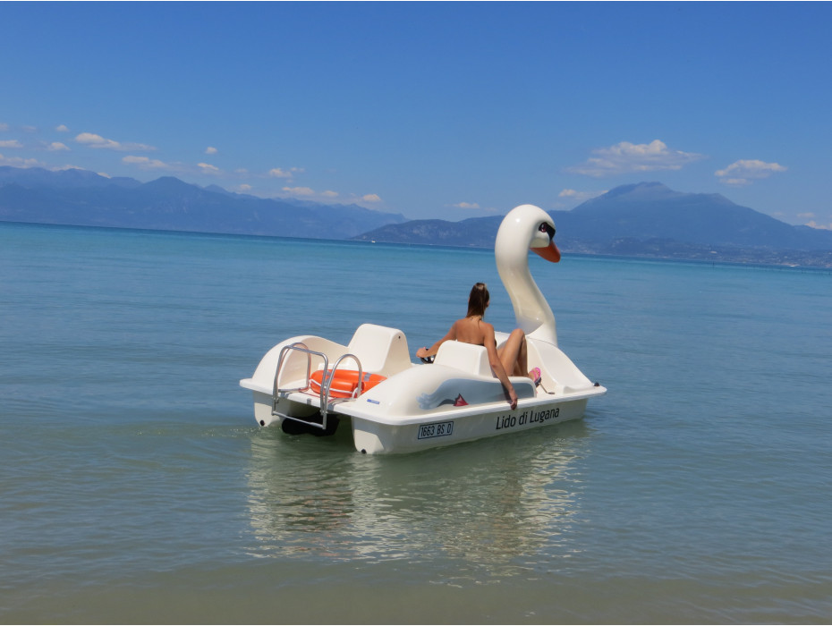 Pédalo cygne