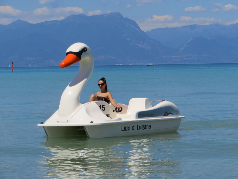 Pédalo cygne