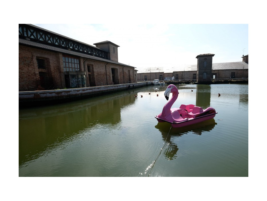 Pédalo Flamant Rose