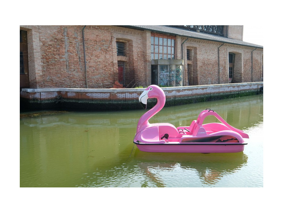 Pédalo Flamant Rose